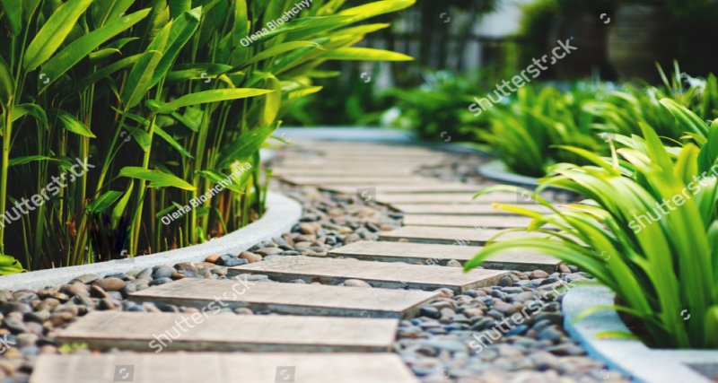 Alley in a tropical garden.
