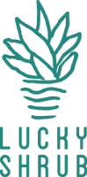 Lucky Shrub logo